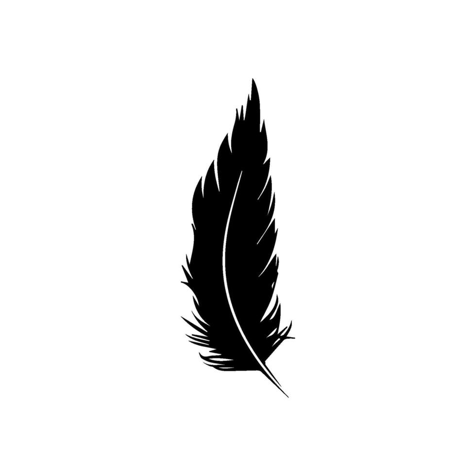 Chicken feather icon vector