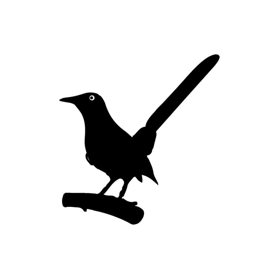 Magpie bird icon vector