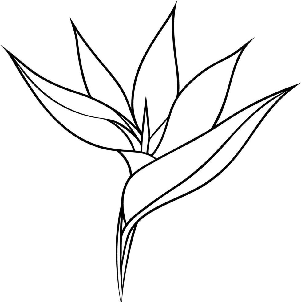 A coloring book that captures the beauty of flowers for kids vector