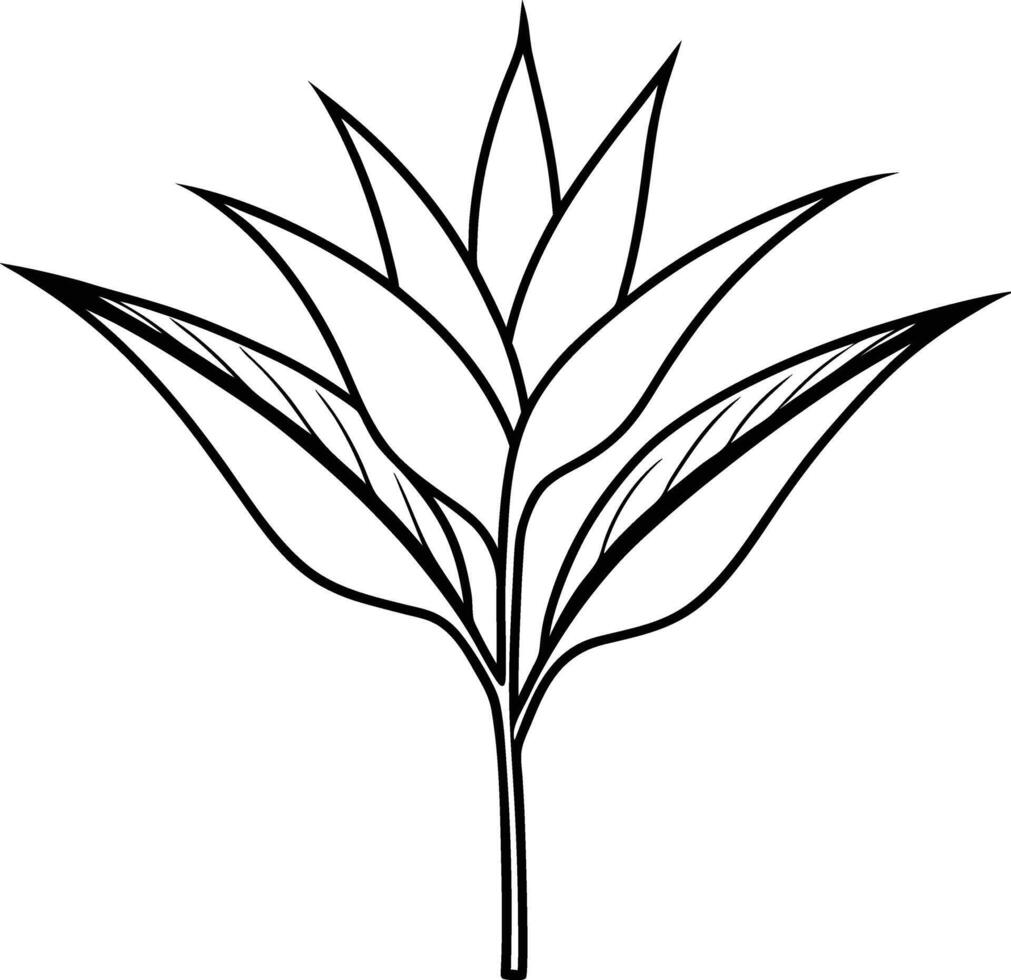 A beautiful floral coloring book made just for children vector