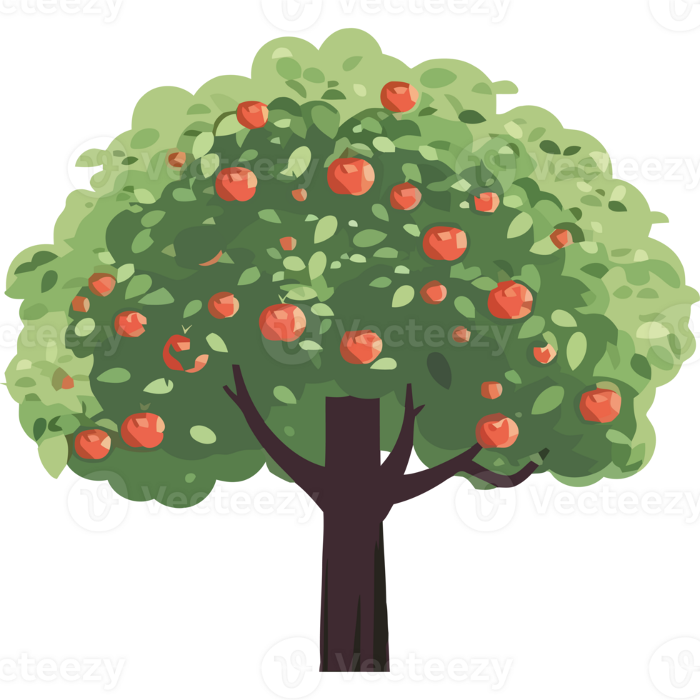 An apple tree with red apples on it png