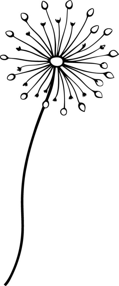 Beautiful floral illustrations that kids will enjoy coloring vector