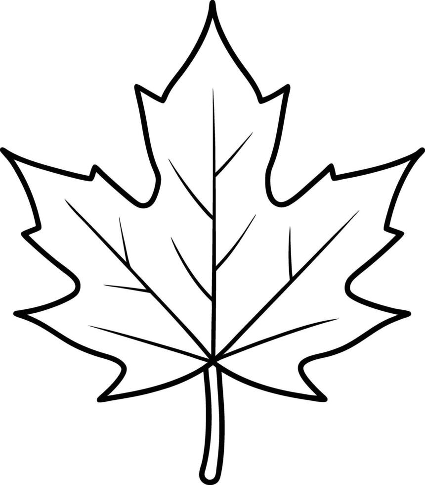 maple leaf icon vector