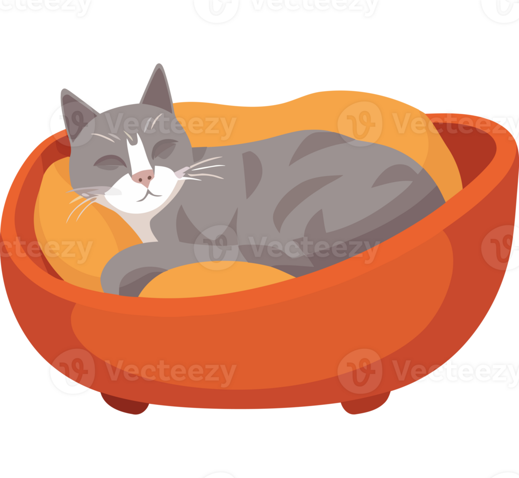 A cat is sleeping in an orange bed png