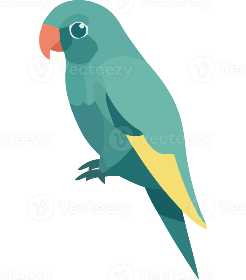 A green parrot with yellow beak and red tail png
