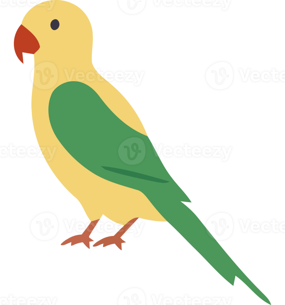 A yellow and green parrot with a red beak png