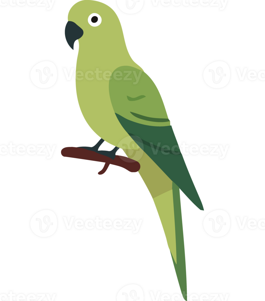 A green parrot sitting on a branch png