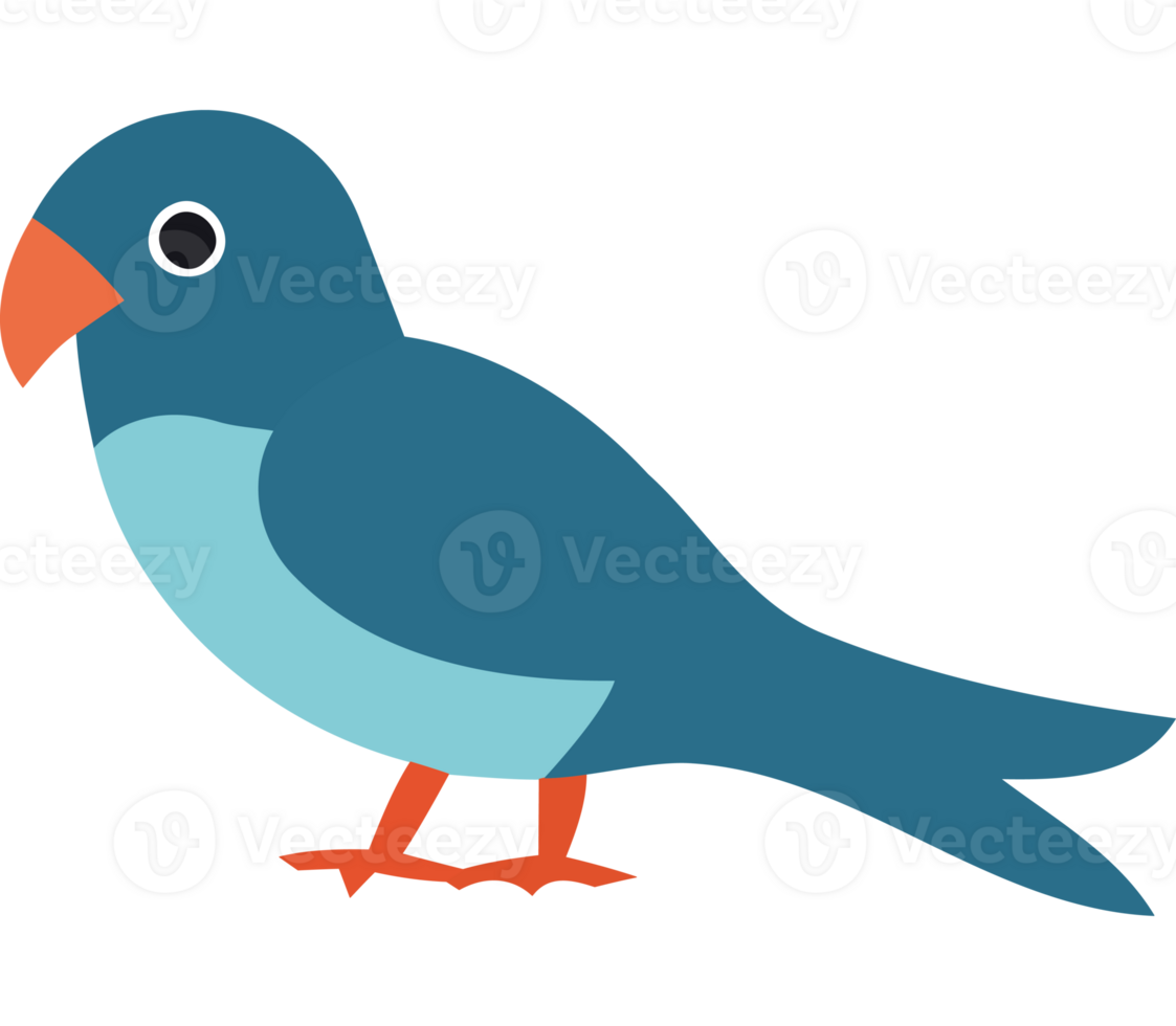 A blue bird with orange beak and orange feet png