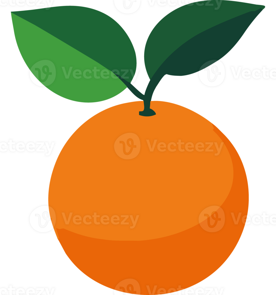 An orange with green leaves on it png