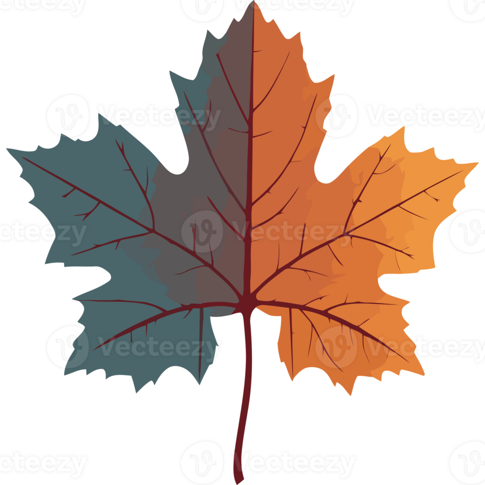 An orange and blue maple leaf png