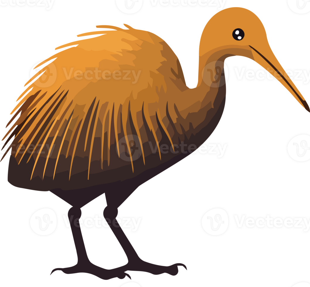 A brown bird with long legs and a long beak png