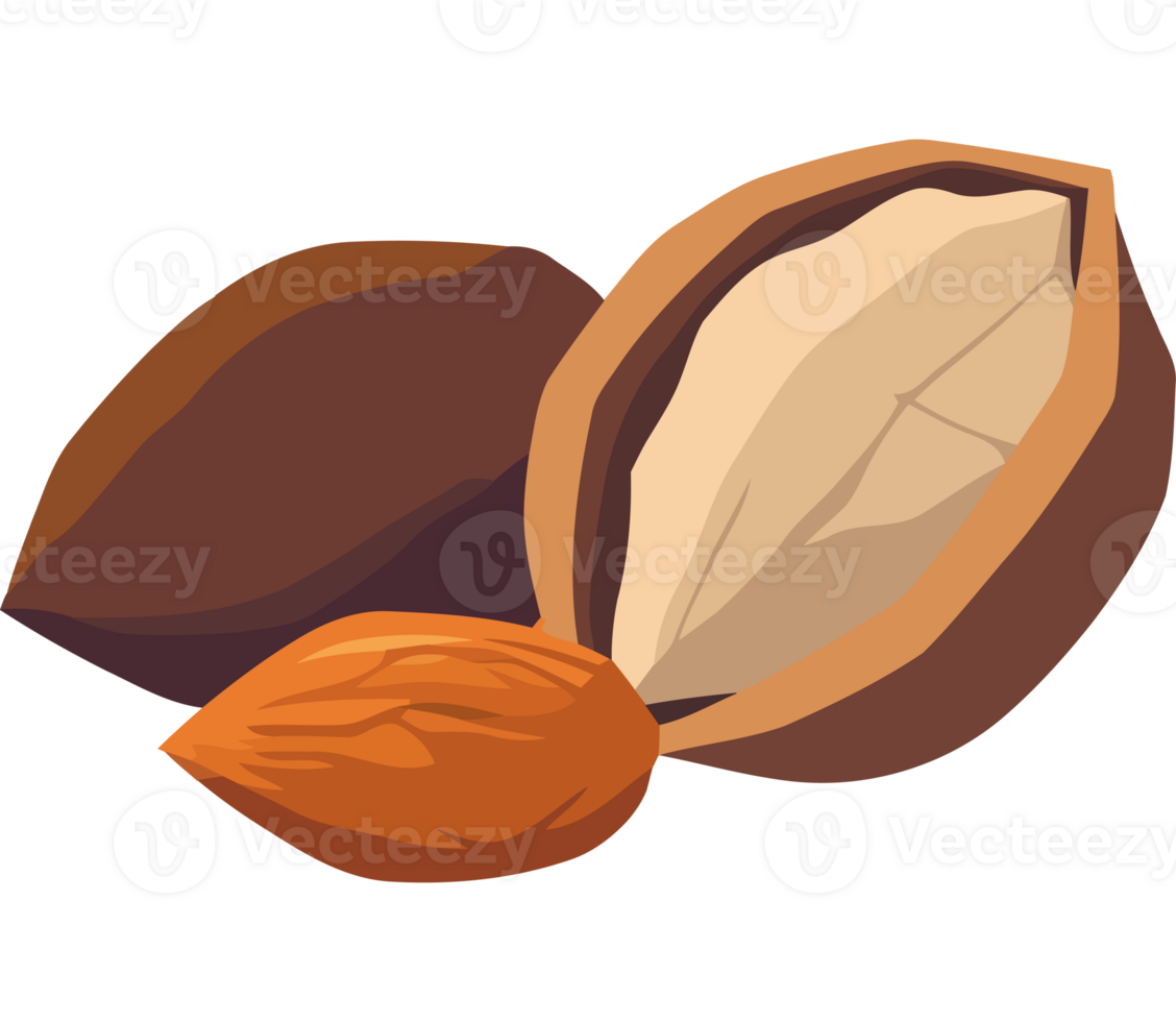 Almond clip art png