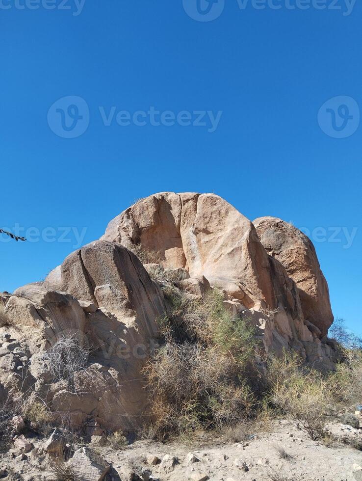 a large rock with a tree on top of it photo