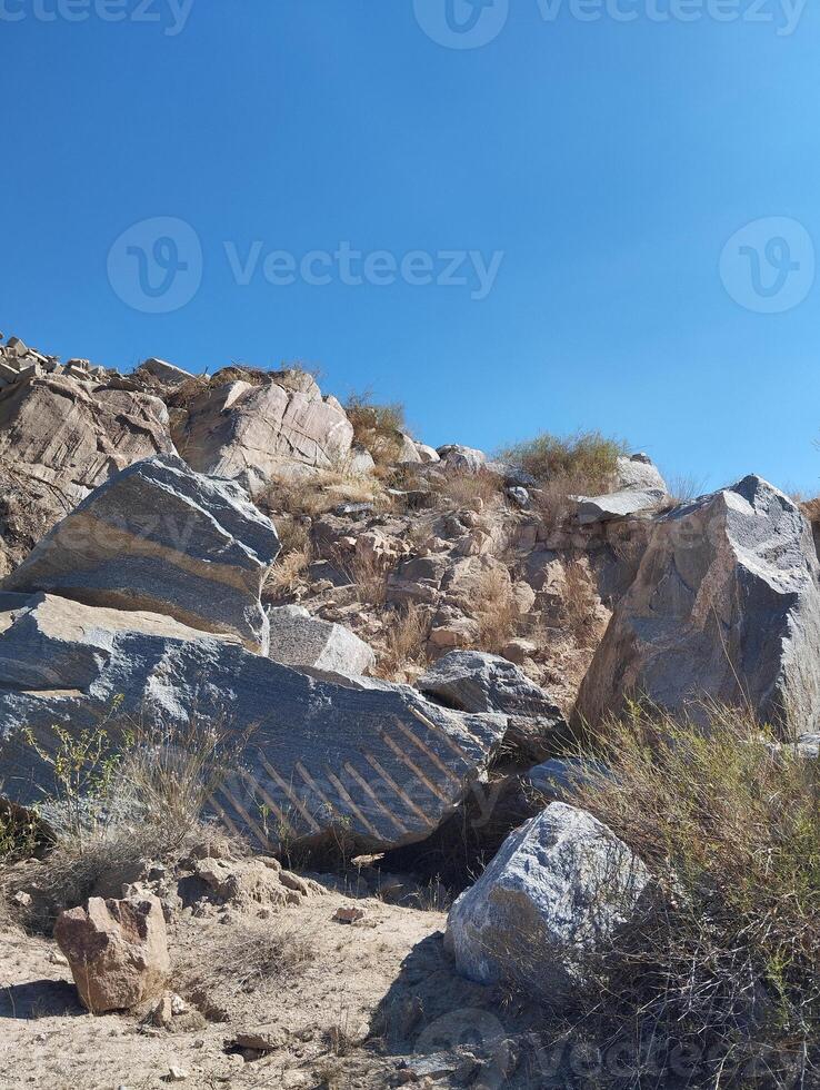 large rocks and bushes in the desert photo