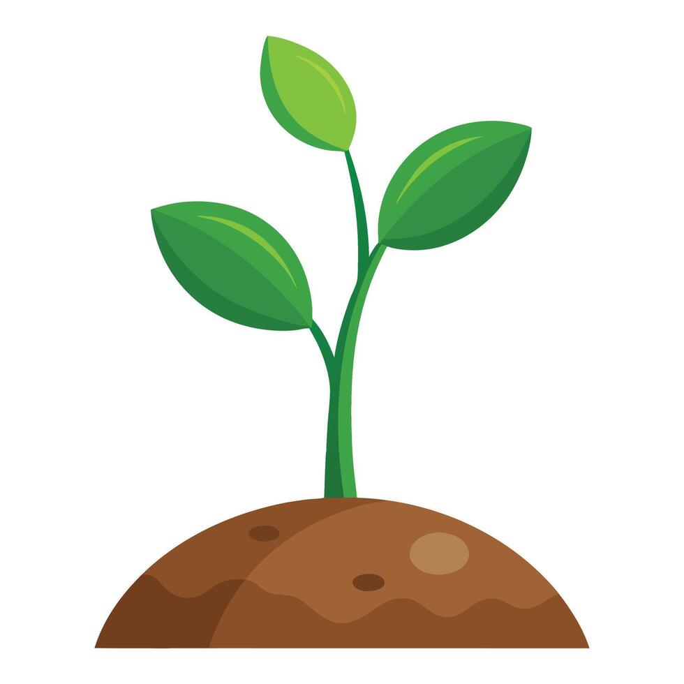 plant sprout growing illustration vector
