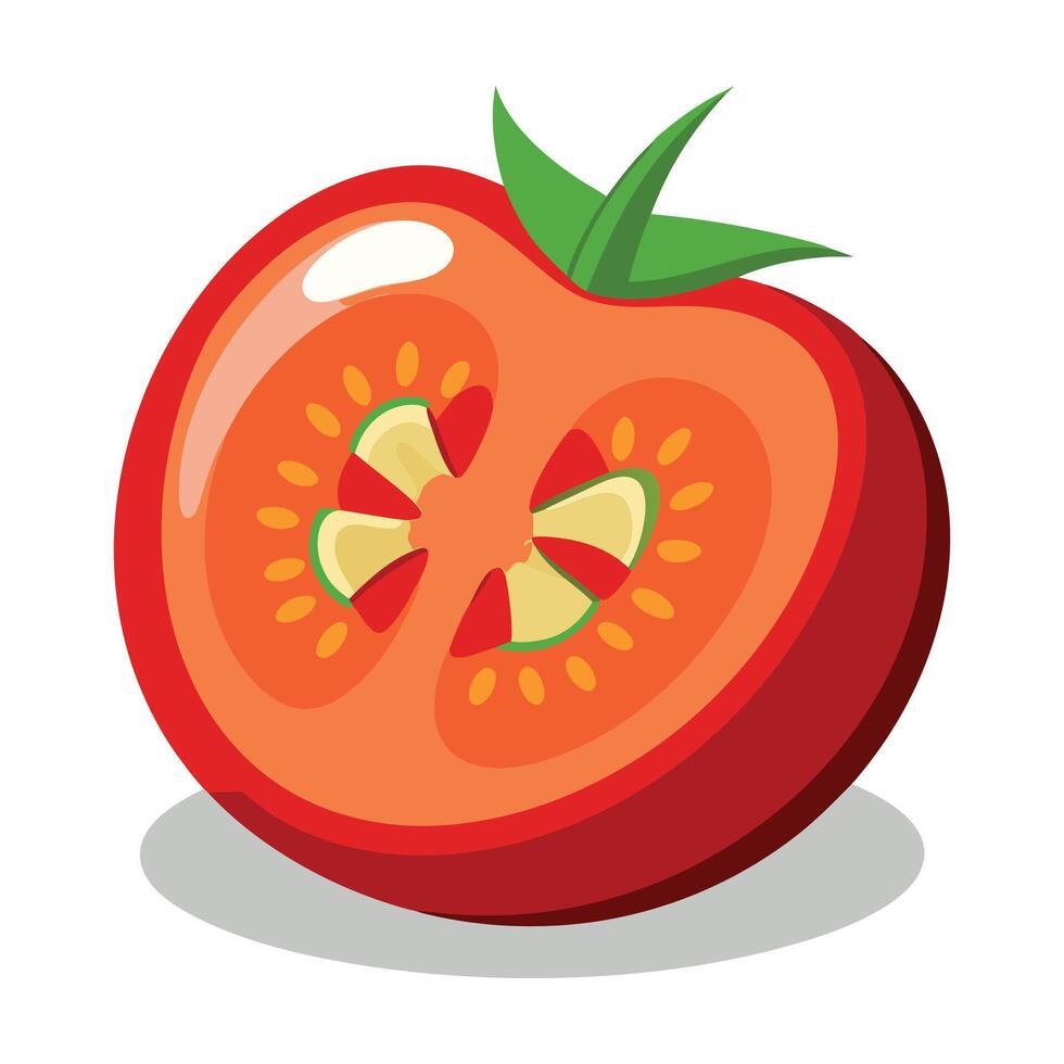 sliced tomato illustration vector