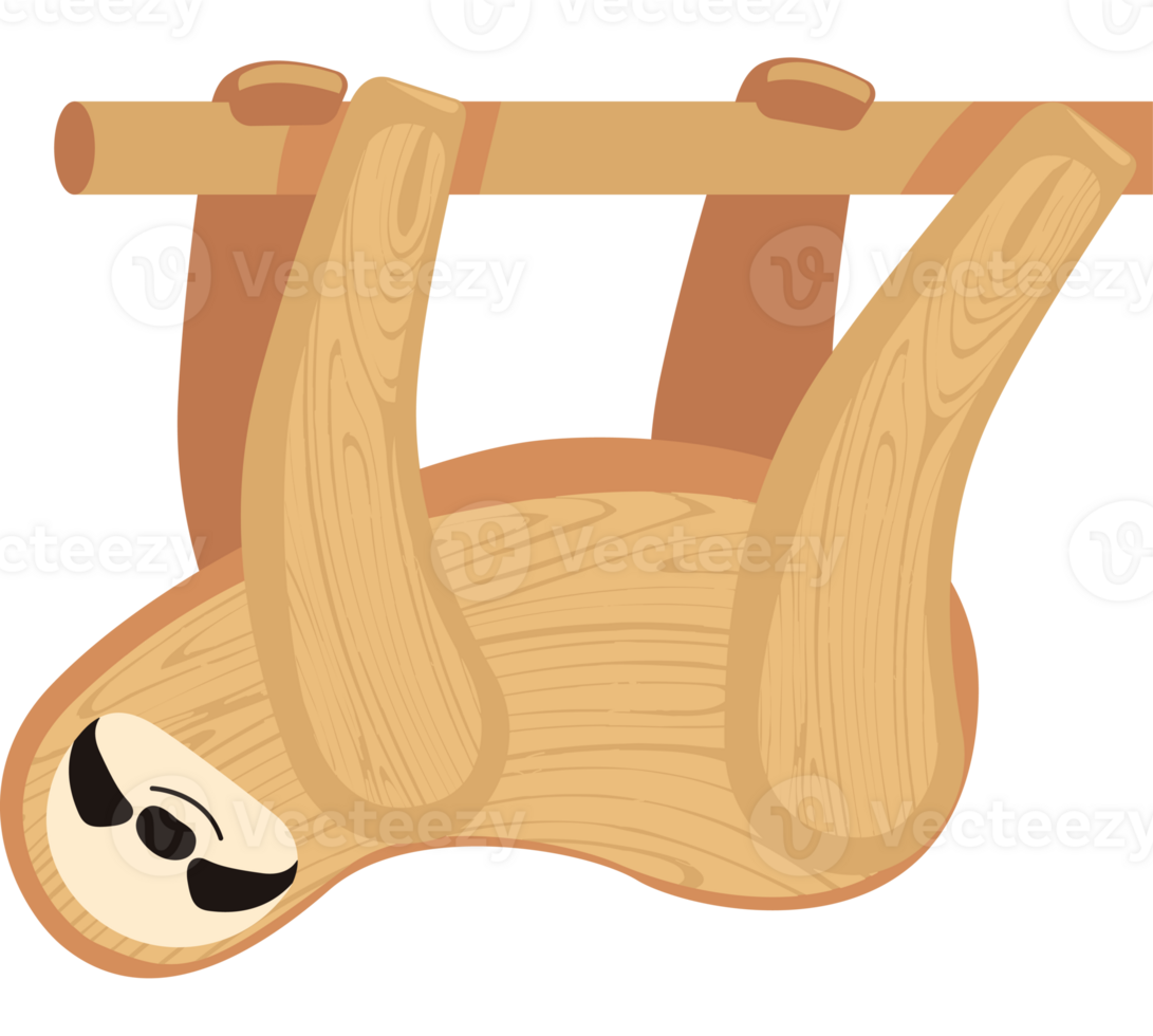 Sloth hanging on a tree branch png