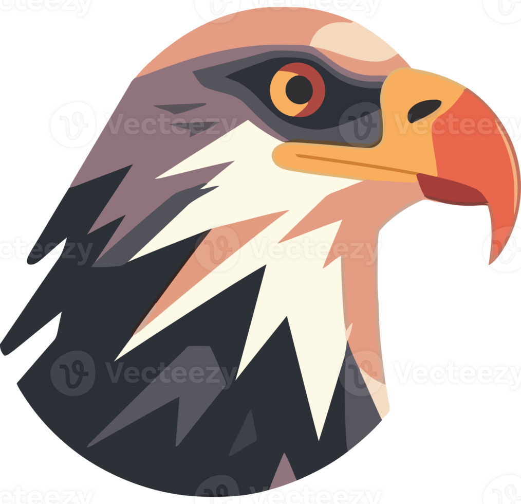 An eagle head with a red beak and orange beak png
