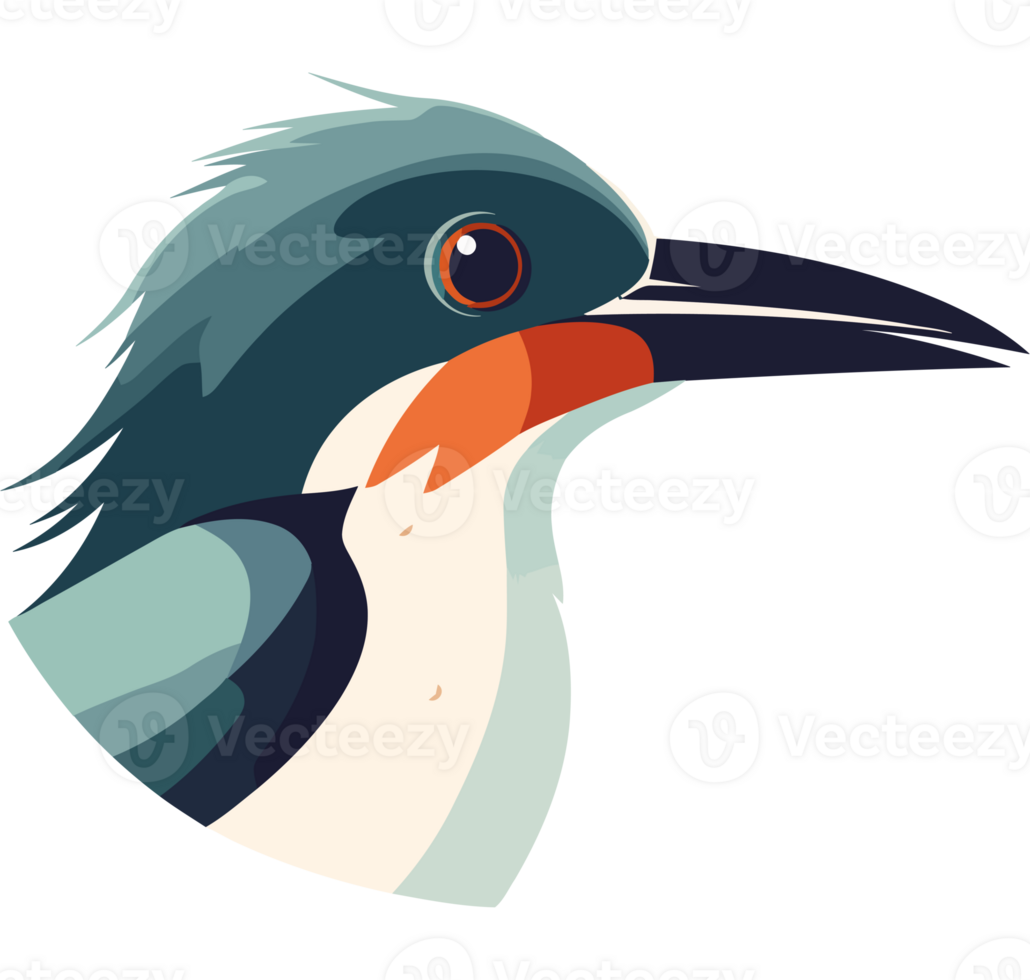 A cartoon bird with a long beak and a red beak png