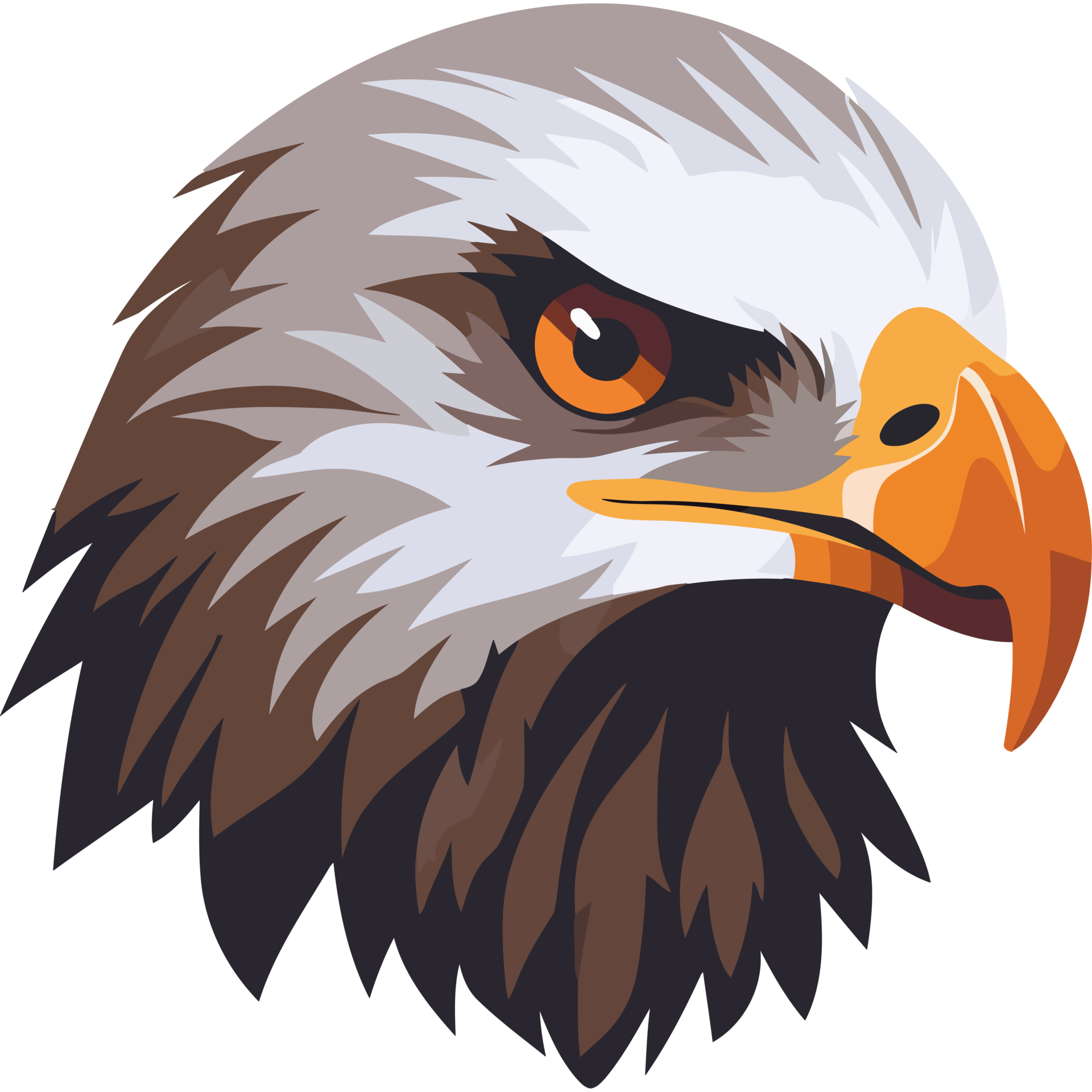ein Adler Kopf mit Orange Schnabel und Orange Augen 49350509 PNG
