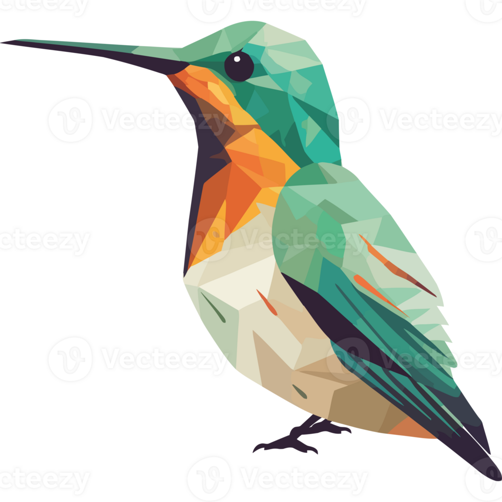 A colorful hummingbird with a long beak png