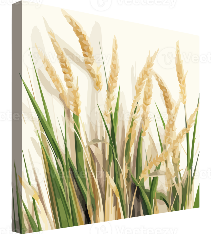 A canvas with wheat grass on it png