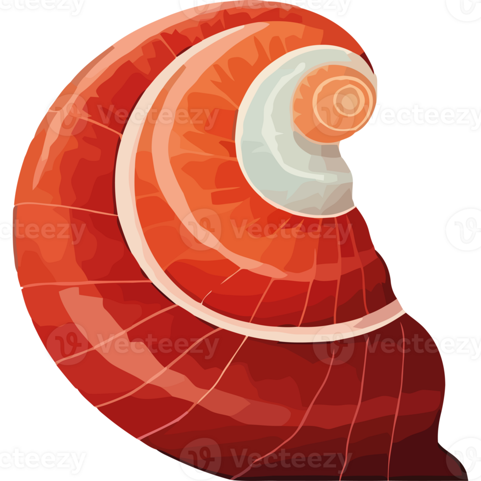 A red and white shell with a white spiral png