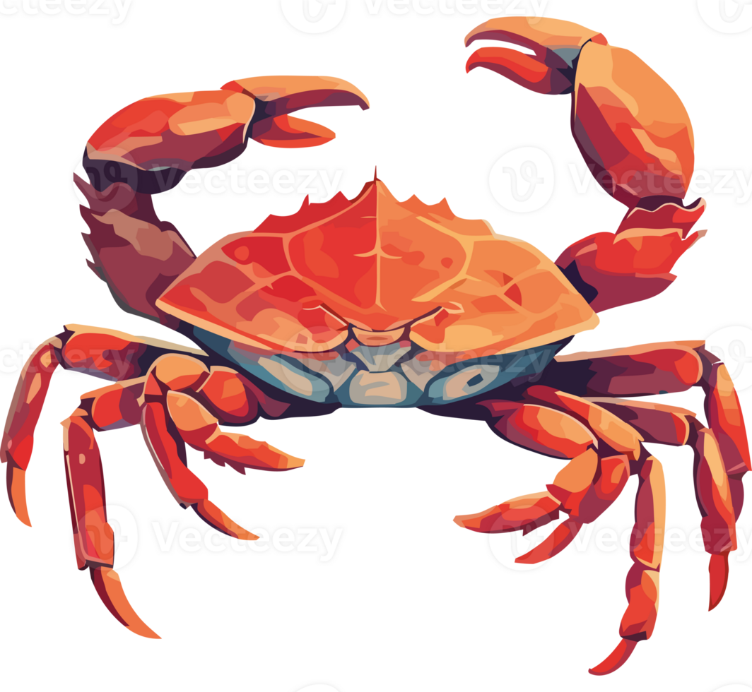 A crab with large claws and a large head png