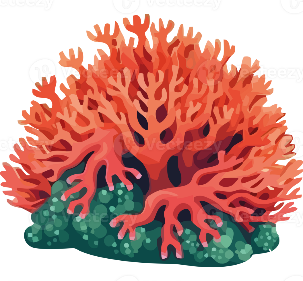 An illustration of a coral reef png