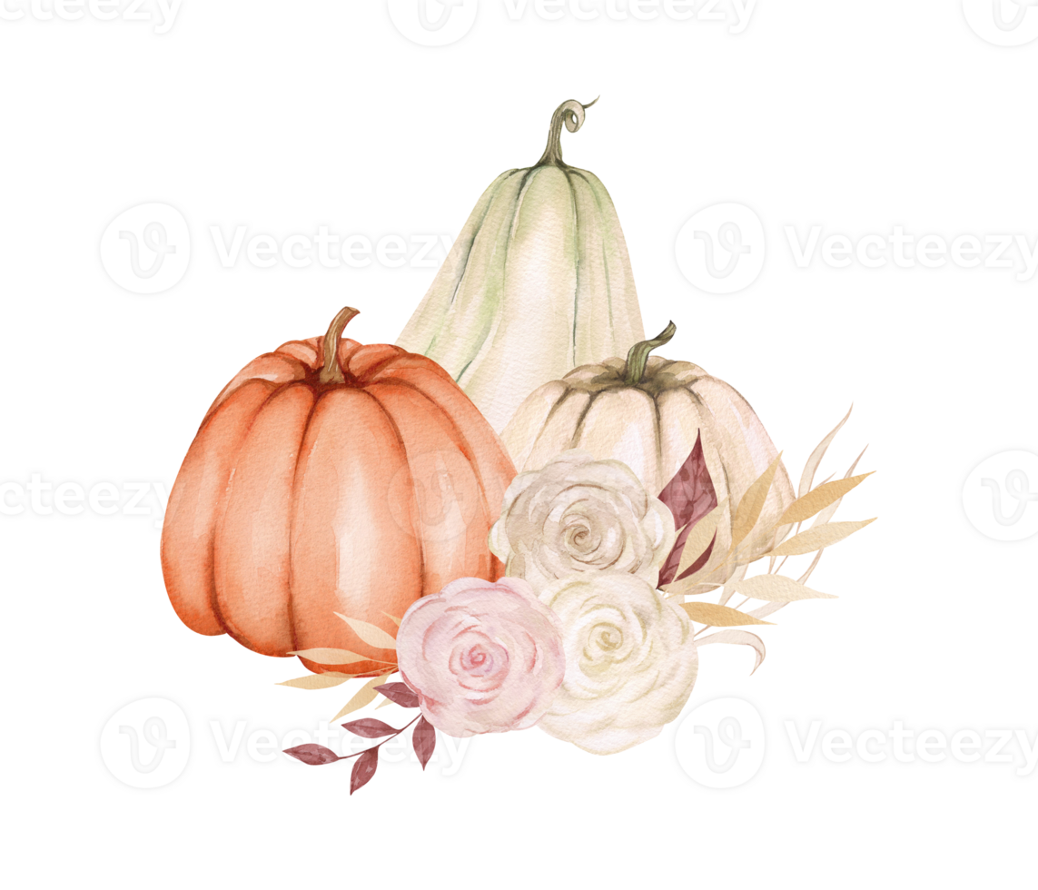 Watercolor composition with pumpkin and flowers. Pumpkins and roses with twigs and leaves. Autumn card in pastel colors. Congratulations, design and decoration, harvest theme png