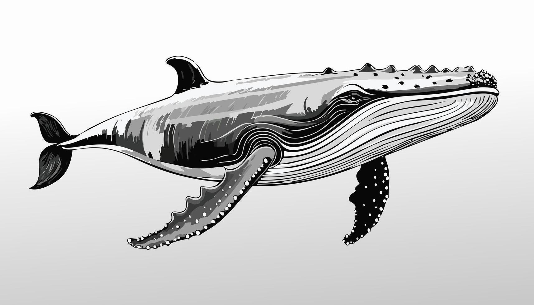 Whale Sketch Style Animal Face Fish vector