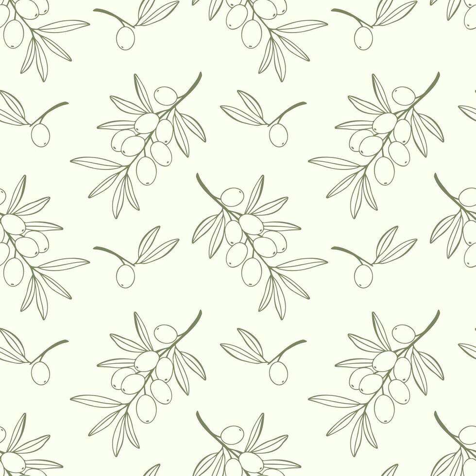 Pattern olives branches. Ornament for the design natural vector