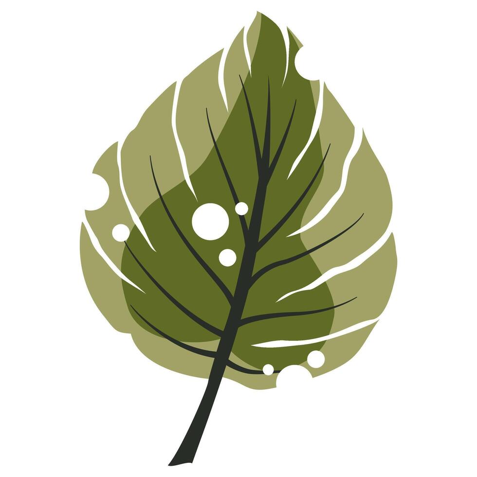Tropical Monstera Plant vector