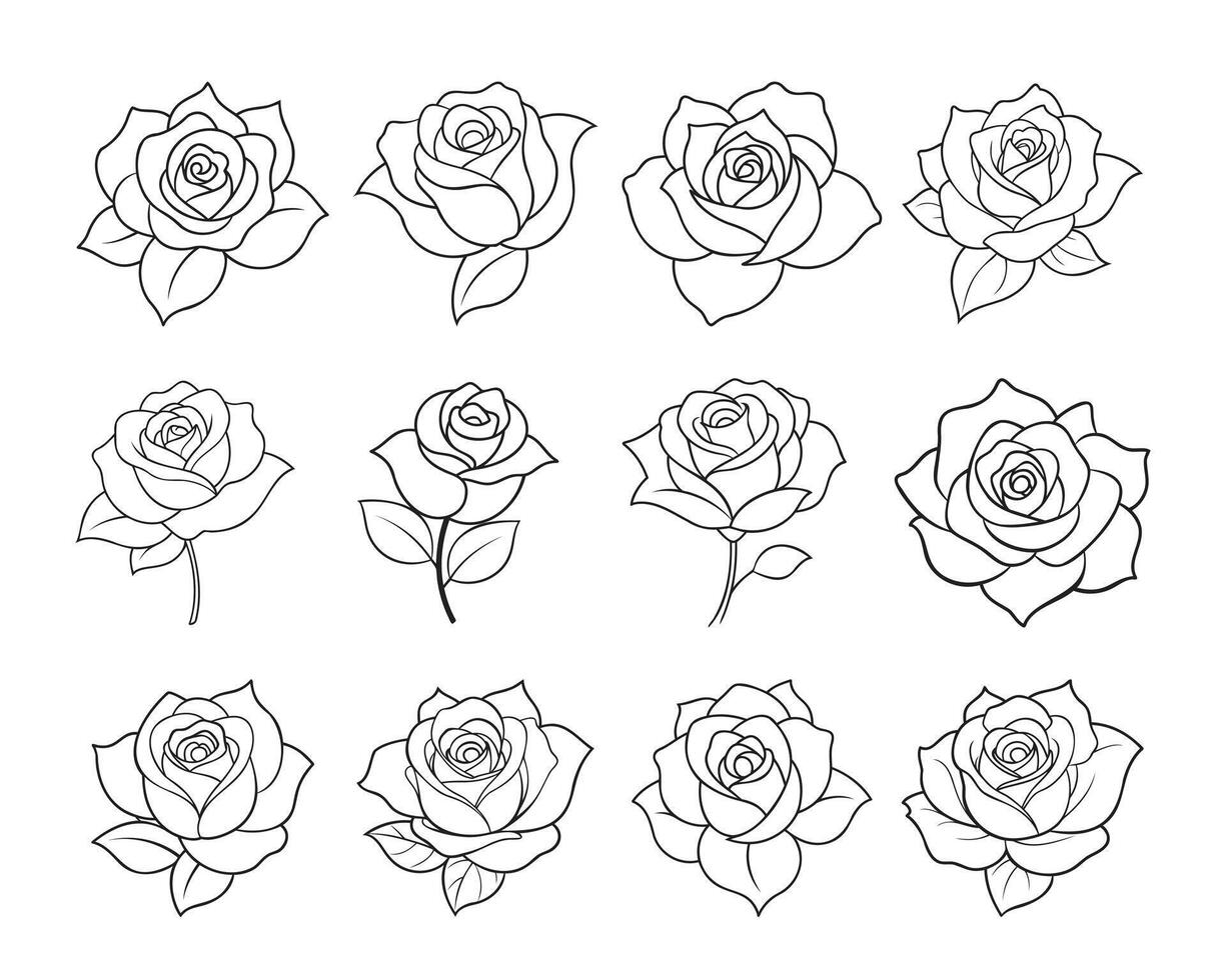 A Collection of Rose Flower Line Art. Rose Flower Line Art Set vector