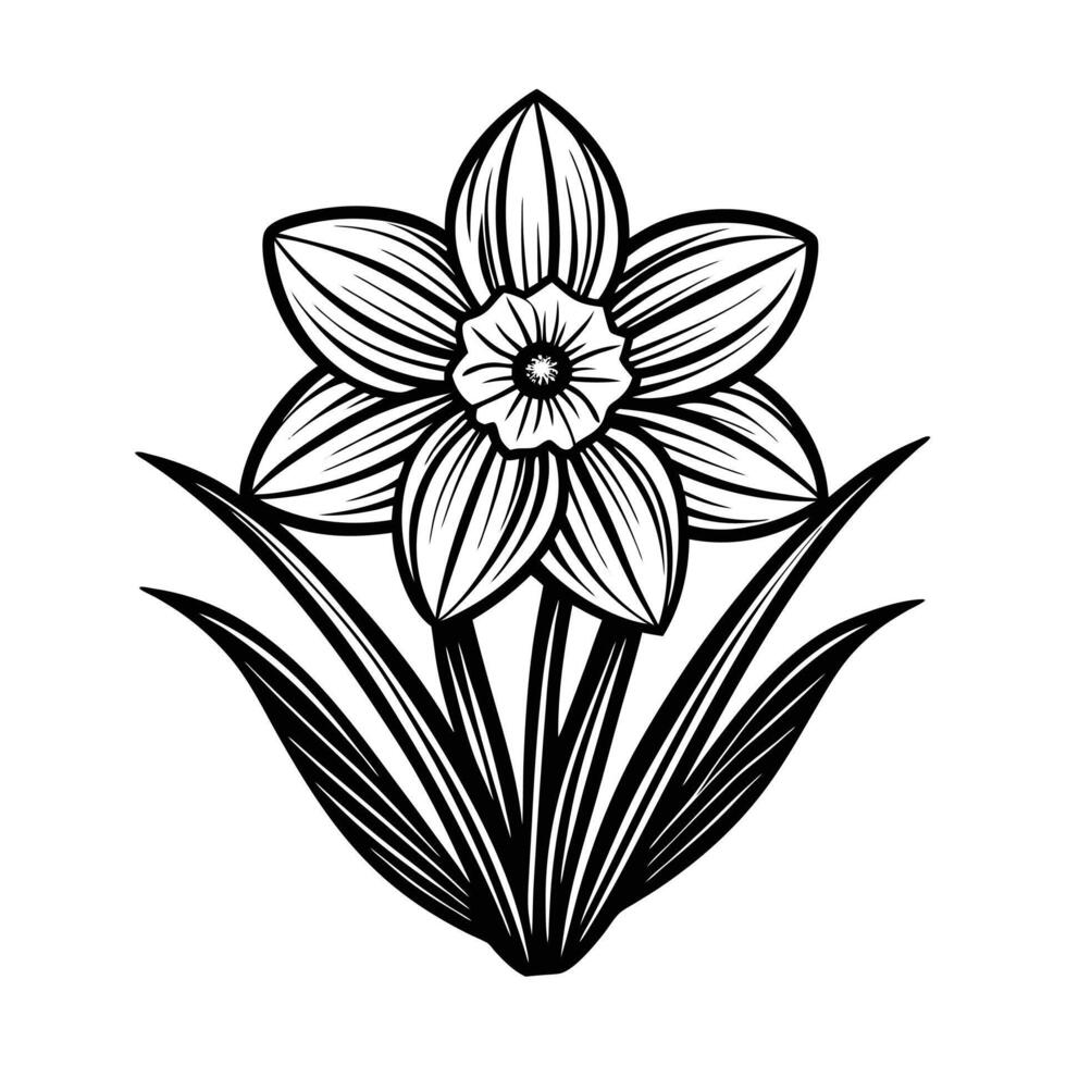 daffodil flower with leaves icon over white background, line style, illustration vector
