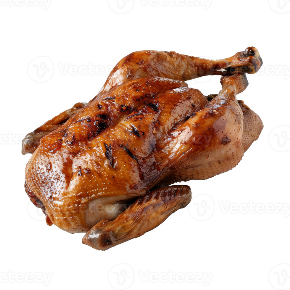 grilled duck transparent background png