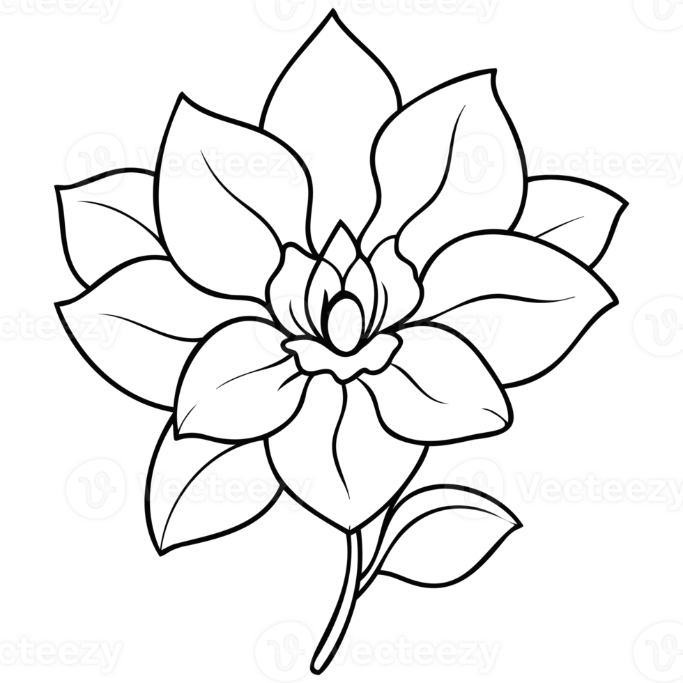 Lotus Flower Line Art png