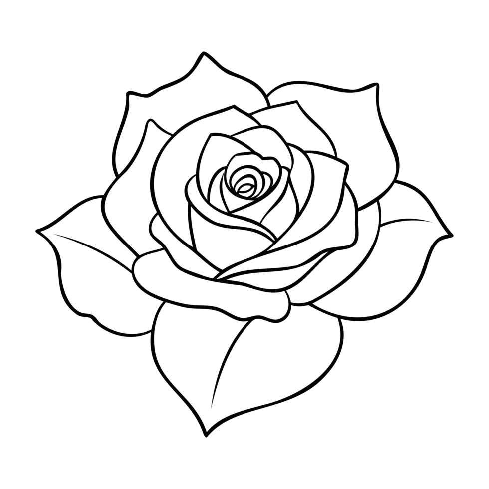 Rose Flower Head Only png