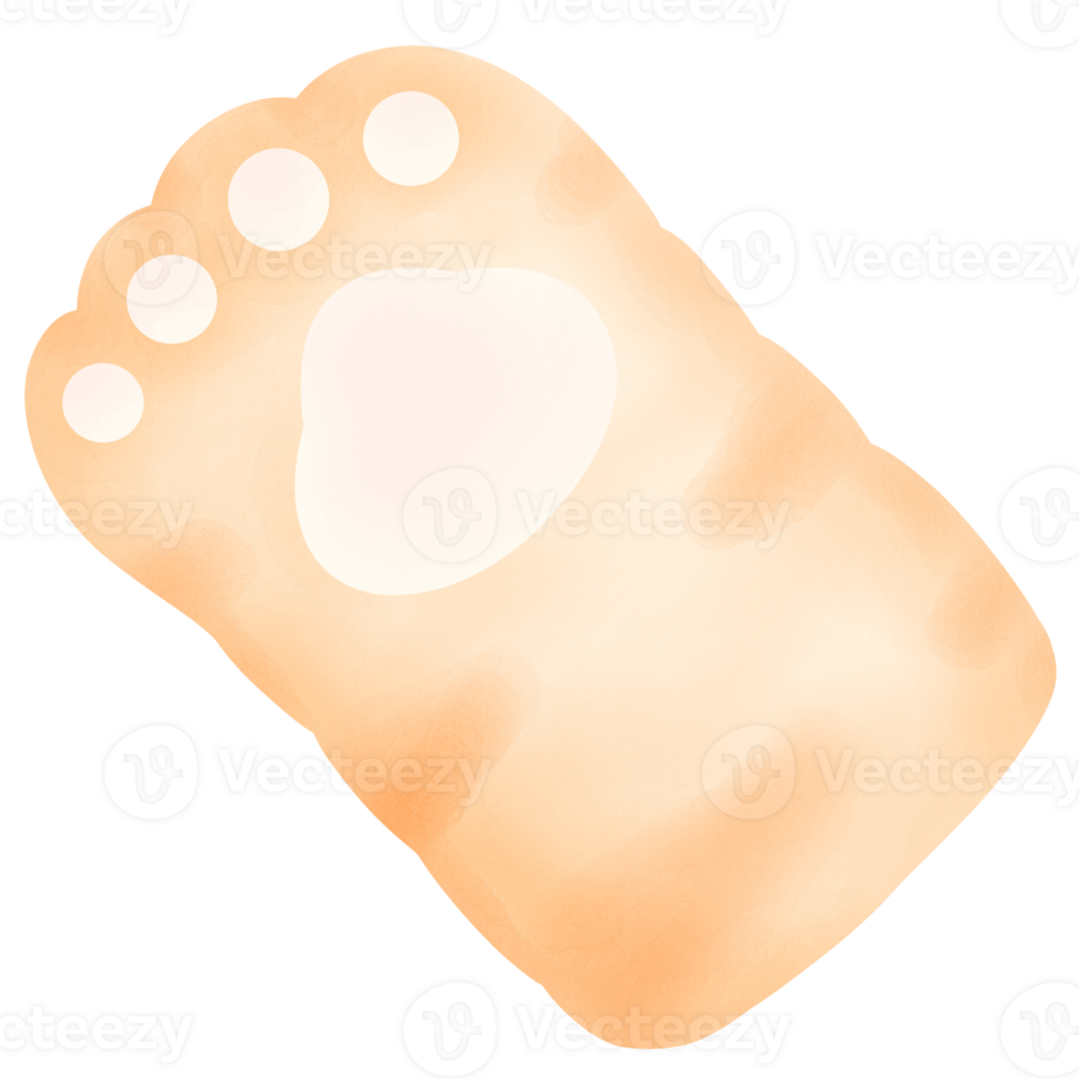Orange cat foot cat paw paining Hand drawn water colors Ginger cat appreciation day png