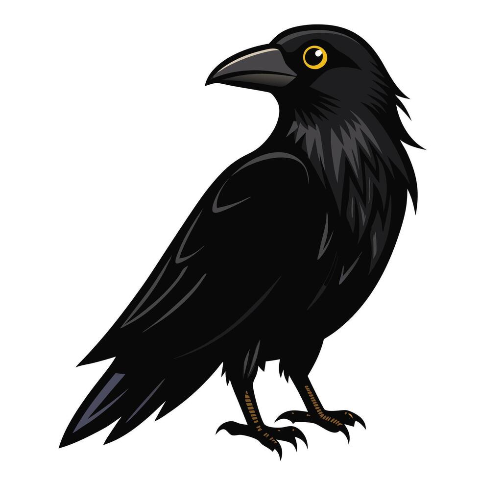 Black raven silhouette on a white background. illustration. vector