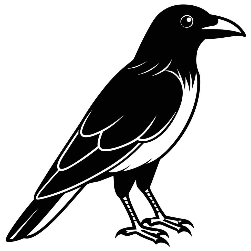 Black and white raven vector