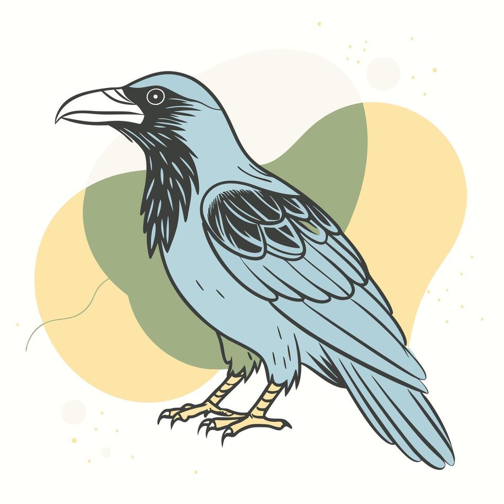 Black raven on a white background. illustration. vector