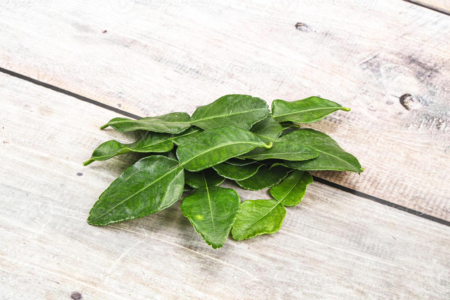 Thai cuisine - Kaffir lime leaves photo