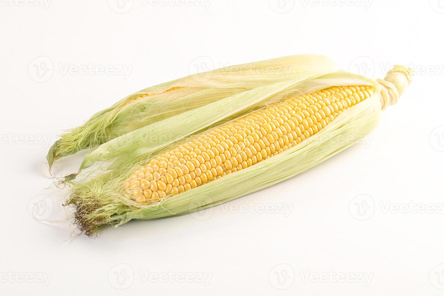 Ripe sweet yellow corn cob photo