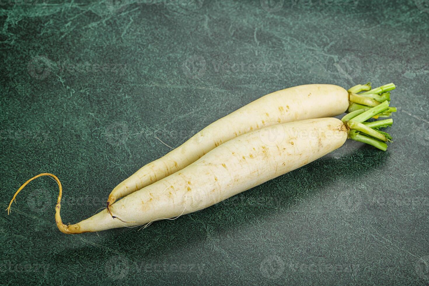 Raw ripe organic Daikon root photo
