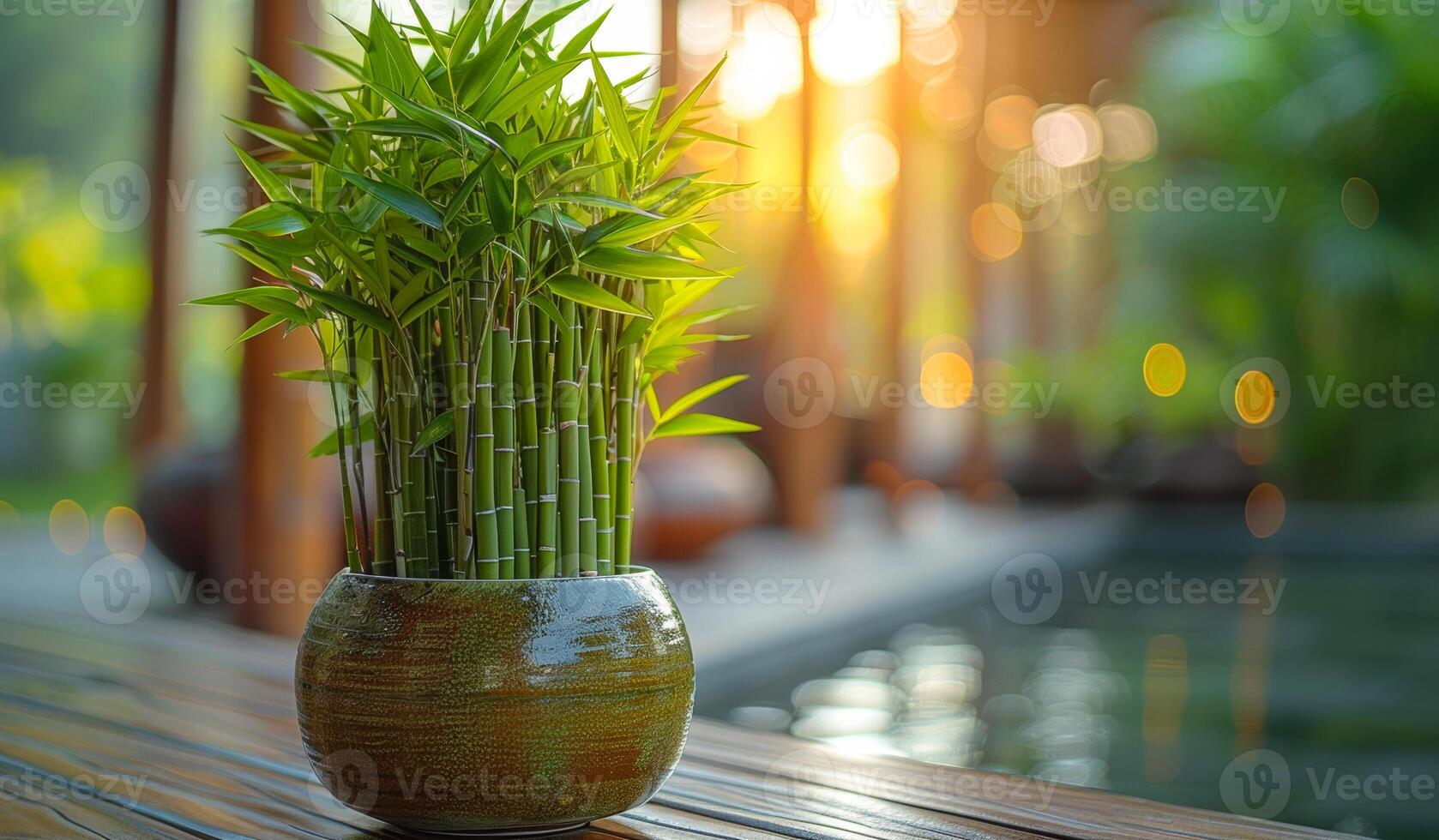 A potted plant with bamboo shoots in a brown vase sits on a wooden table. The plant is surrounded by water, and the sunlight is shining on it, creating a serene and peaceful atmosphere photo