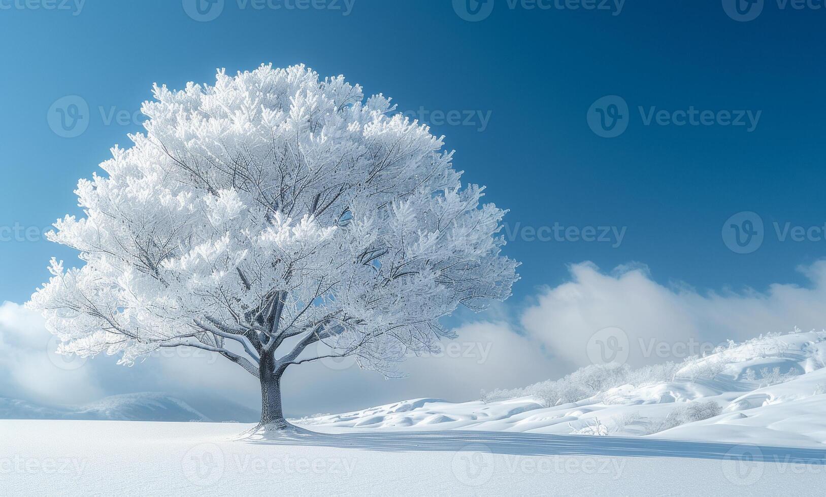 A snow covered tree stands in a field of snow. The sky is clear and blue, and the snow is white and fluffy. The scene is peaceful and serene, with the tree as the focal point of the image photo