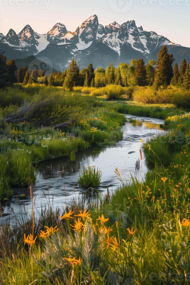 Beautiful landscape of a mountain river surrounded by a flower meadow with a view of snowy mountains photo