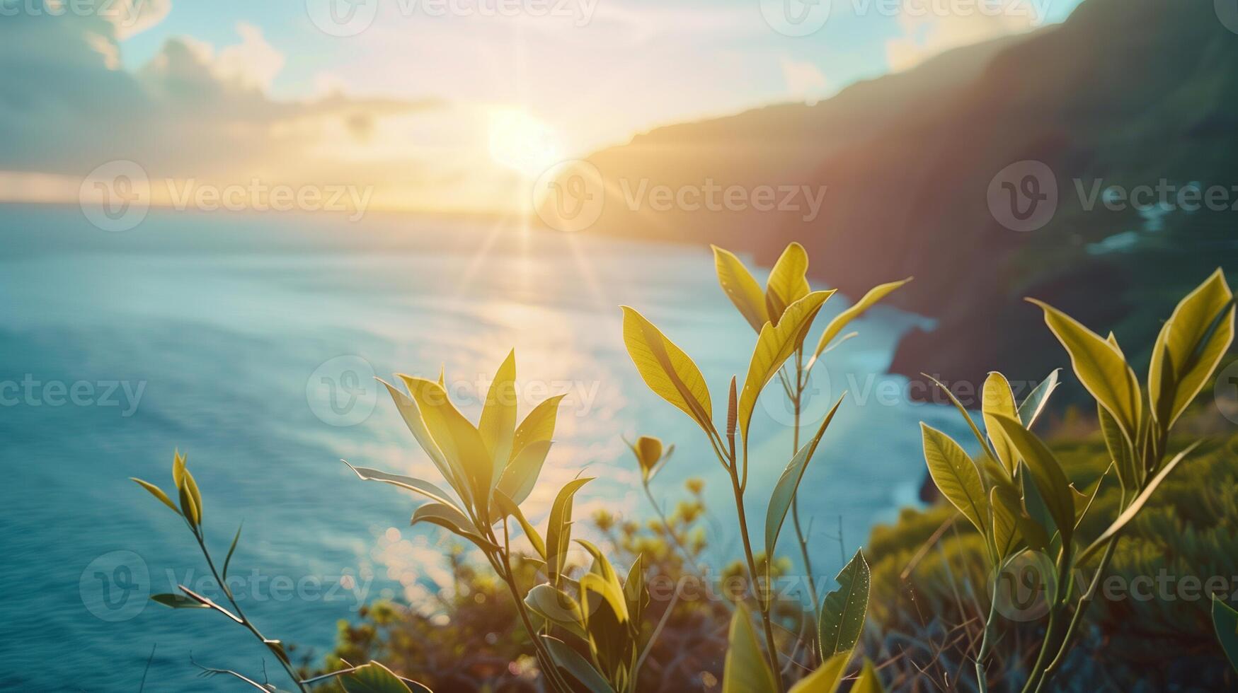 Sunset landscape of rocky coastline overlooking the sea and mountains with tropical plants photo