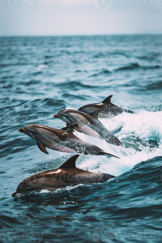 A flock of dolphins leaps out of the blue ocean water photo